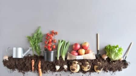 Best Organic Compost For Vegetable Garden of 2026: Top 6 Picks Best Organic Compost For Vegetable Garden of 2026: Top 6 Picks